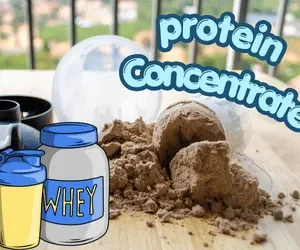 PROTEIN CONCENTRATE
