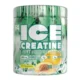 Fa Nutrition Ice Creatine 300 G